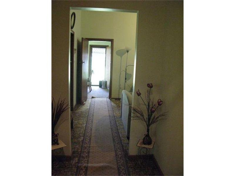 16 Fitzroy Street, Mayfield NSW 2304, Mayfield - Thumbnail 4