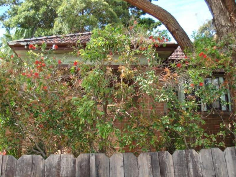Listing Image 14
