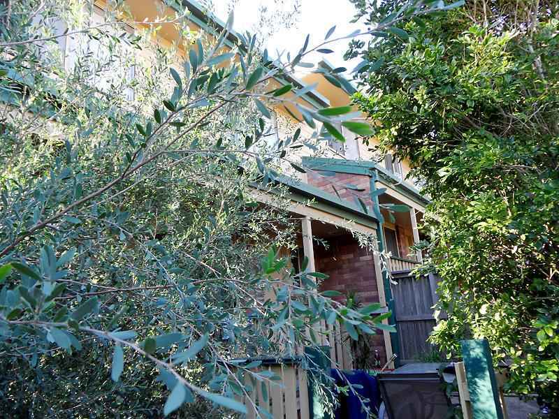 1A Wrightson Avenue, Bar Beach NSW 2300, Bar Beach - Thumbnail 4