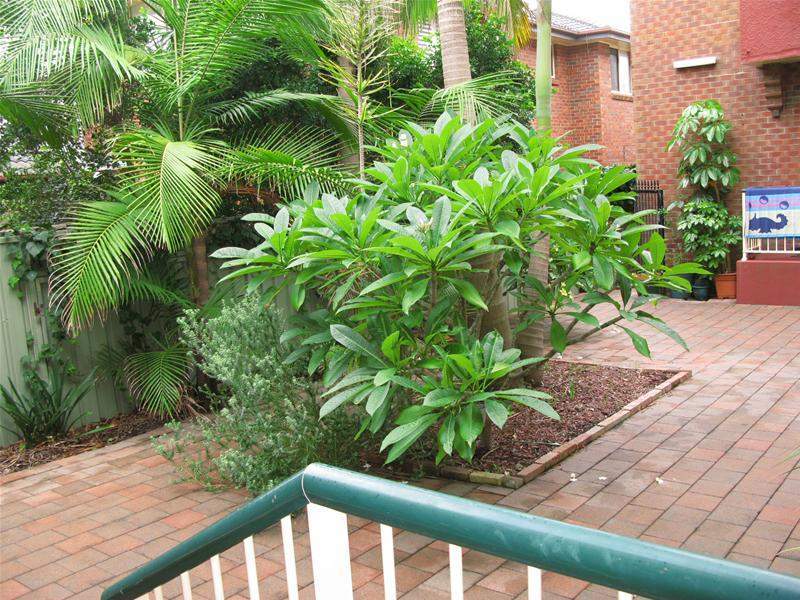 295 Darby Street, Bar Beach NSW 2300, Bar Beach - Thumbnail 2