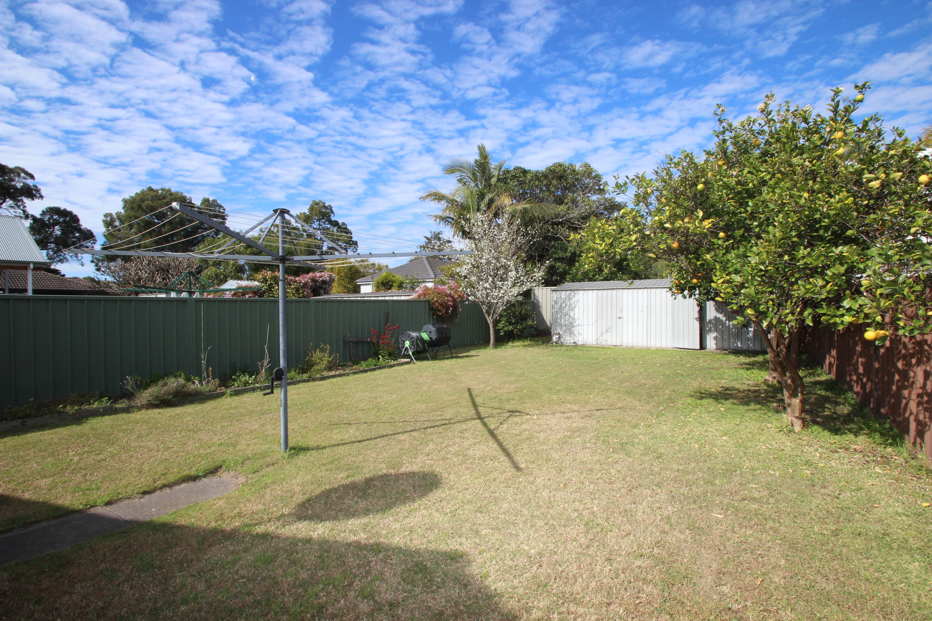 Listing Image 14