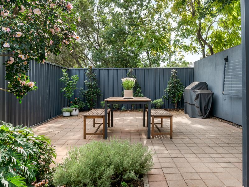 4 Cleary Street, Hamilton - Thumbnail 5