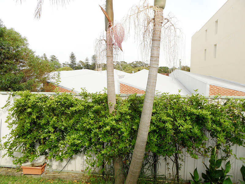 Listing Image 16